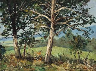 Paul-Émile Pissarro - Paysage, Suisse