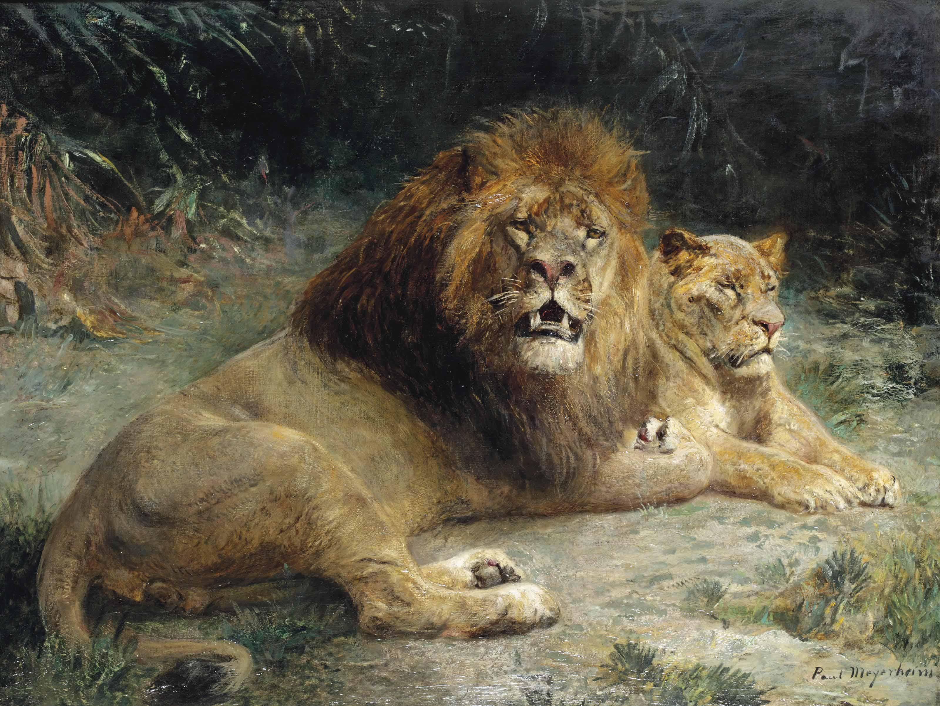 Paul Friedrich Meyerheim - A Lion And A Lioness Basking In The Sun