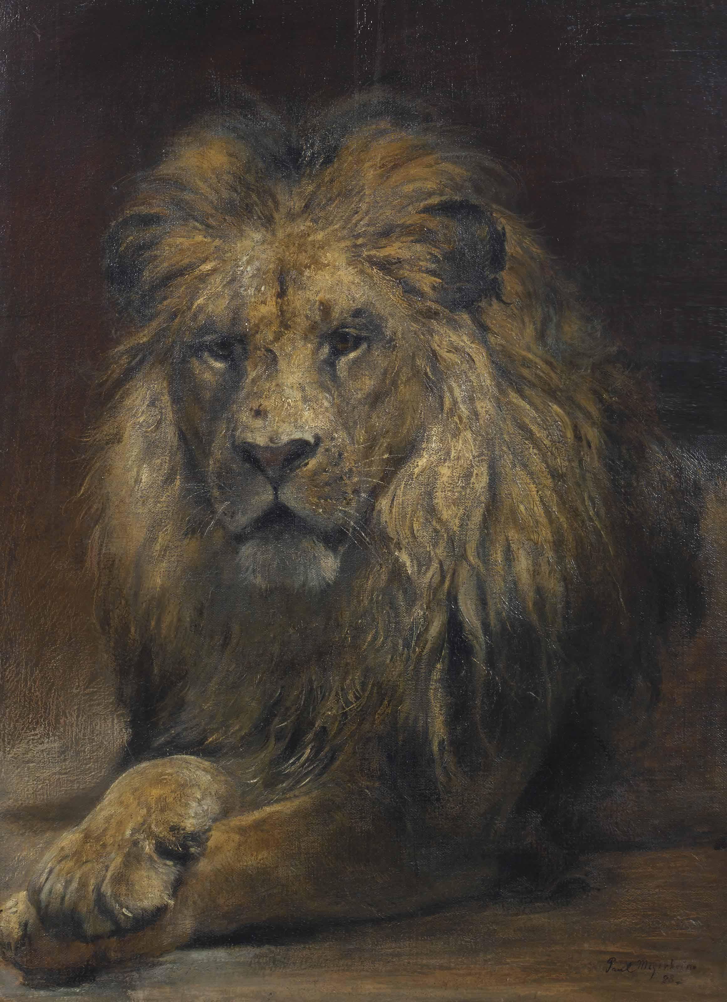 Paul Friedrich Meyerheim - A Lion
