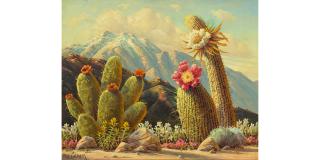 Paul Grimm - Cactus in Bloom 16 x 20 in. framed 24 x 28 in.