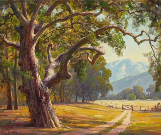 Paul Grimm - Gnarled Oak 20 x 24 in. framed 26 x 30 in.