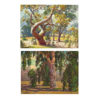 Paul Grimm - Sycamore and Old Eucalyptus (a group of two) each 12 x 16 in. each unframed