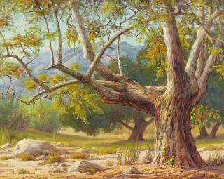 Paul Grimm - Tree Majesty