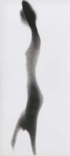 Paul Himmel - Nude on White Background, 2, 1951