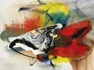 Paul Jenkins - Eyes Of The Dove: Magic Langoustine