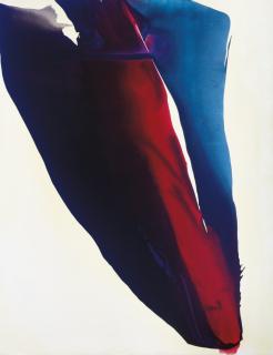 Paul Jenkins - Phenomena Call to Flounds