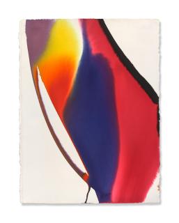 Paul Jenkins - Phenomena Convex View