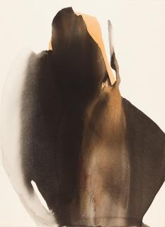 Paul Jenkins - „Phenomena for Meditation“