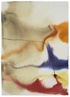 Paul Jenkins - Phenomena Given Meridian