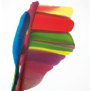 Paul Jenkins - Phenomena Hoasting The Colors