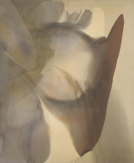 Paul Jenkins - Phenomena Isabel Ore Lode