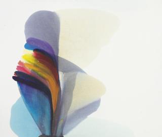 Paul Jenkins - Phenomena Land In Sight