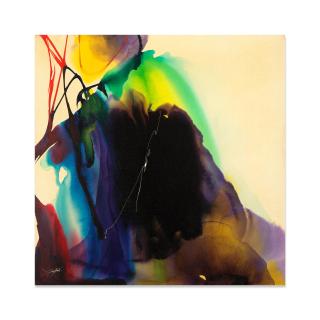 Paul Jenkins - Phenomena Night of the Bear