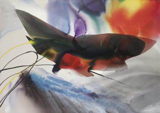 Paul Jenkins - Phenomena North Harbor Omen