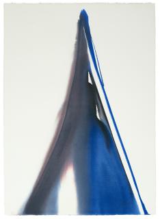 Paul Jenkins - Phenomena Pike\'s Peak