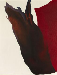 Paul Jenkins - Phenomena Red Watch