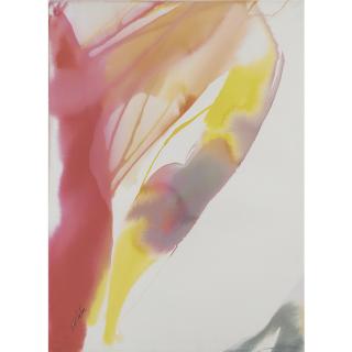 Paul Jenkins - Phenomena Tropica Elegy