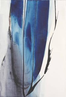 Paul Jenkins - Phenomena Until Thou Have Knowne