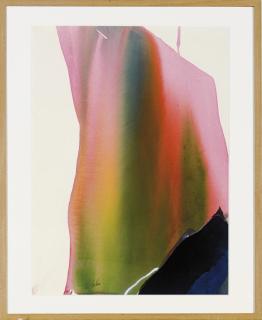 Paul Jenkins - Phenomena Updrift