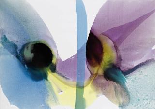 Paul Jenkins - Phenomena whisper to the mountain