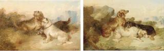 Paul Jones - Setters In A Landscape; And Terriers Ratting