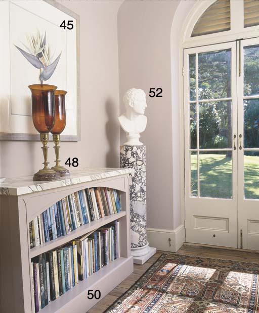 Paul Jones - Strelitzia Nicolai