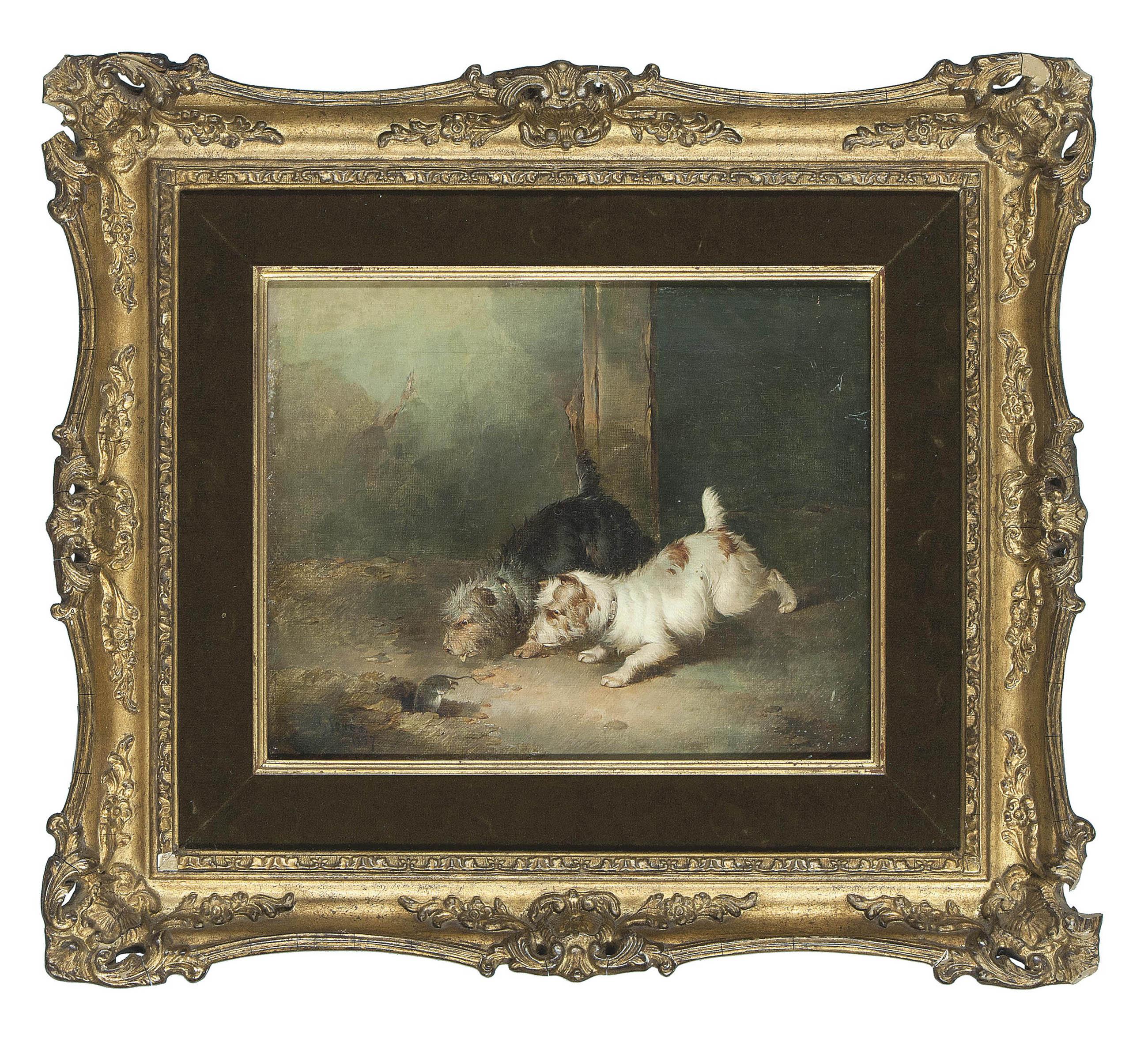 Paul Jones - Terriers ratting; Terriers with a cage