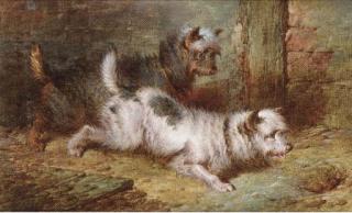 Paul Jones - Terriers ratting