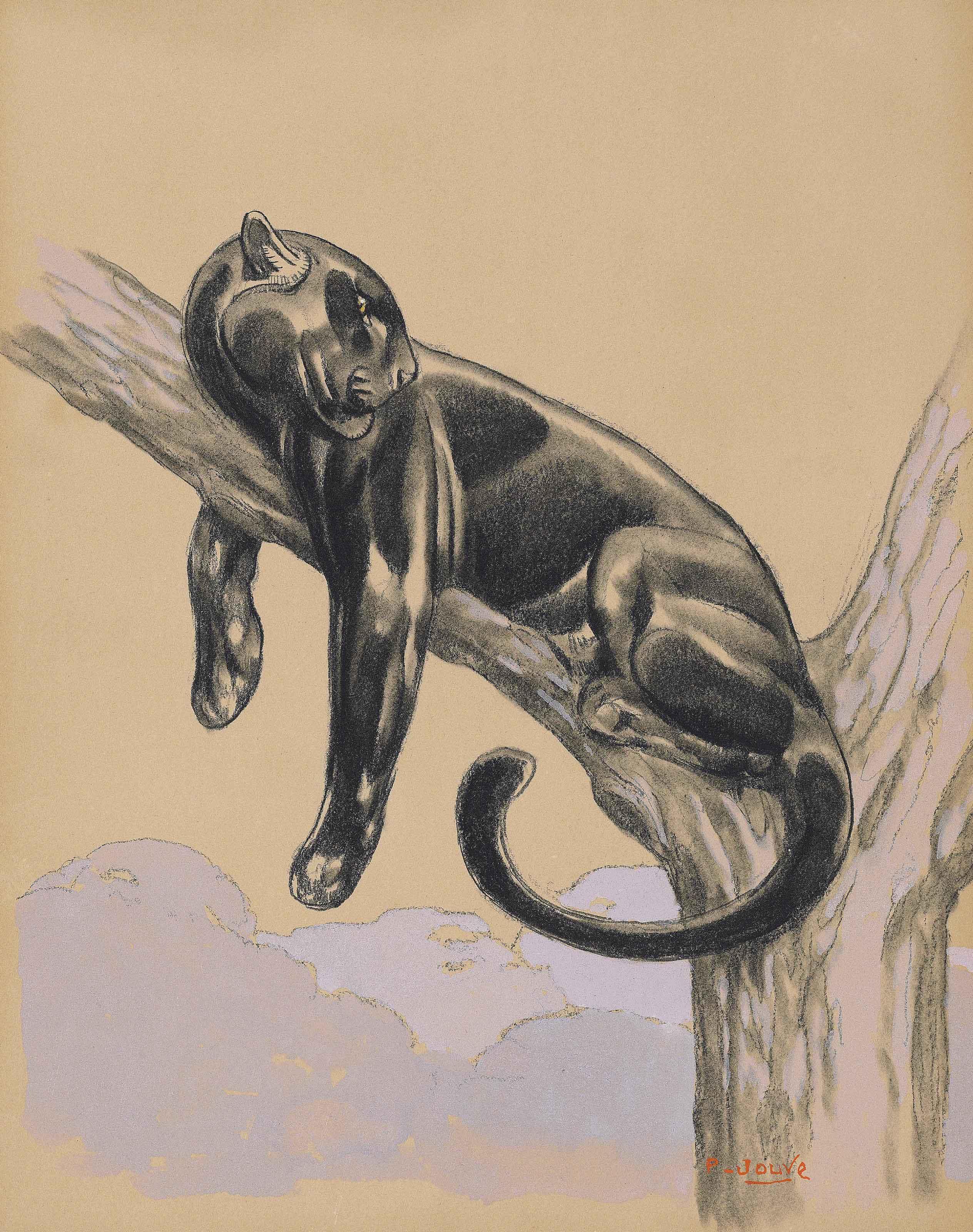 Paul Jouve - Panthère noire couchée sur une branche