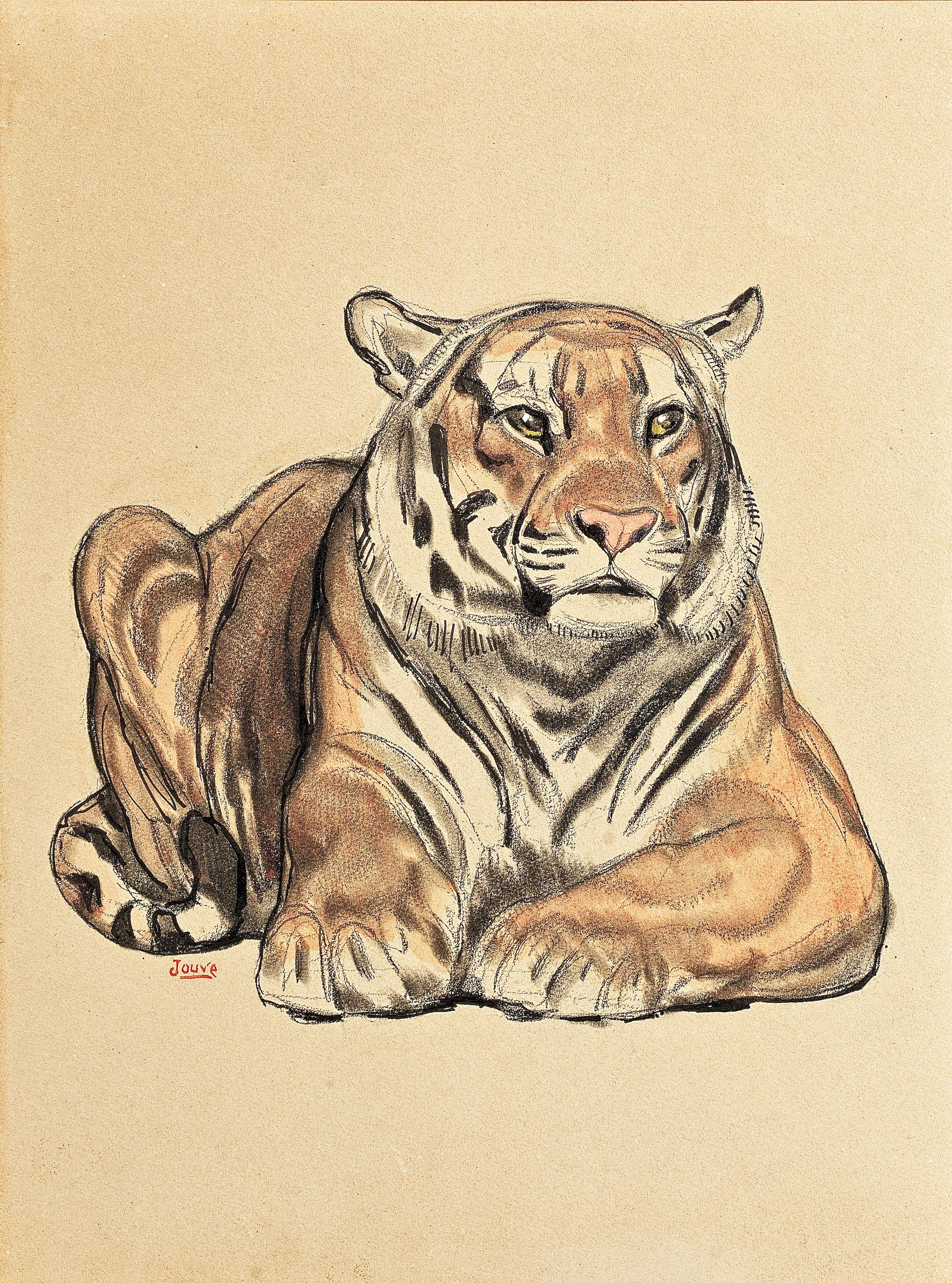 Paul Jouve - Tiger, Circa 1925