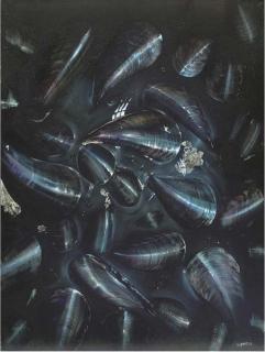 Paul Karslake, F.R.S.A. - Mussels