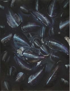 Paul Karslake - Mussels