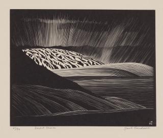 Paul Landacre - Desert Storm