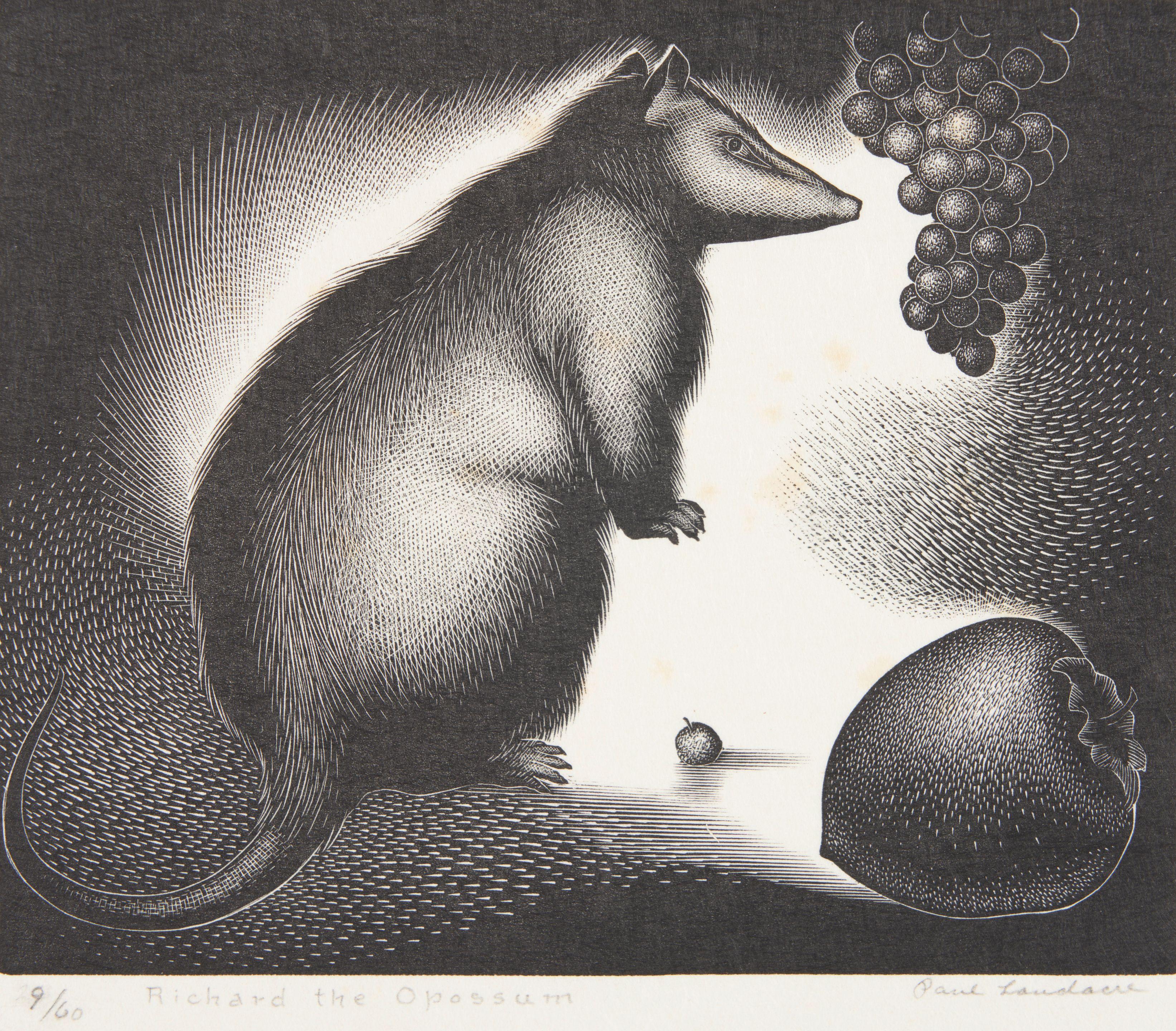 Paul Landacre - Richard the Opossum