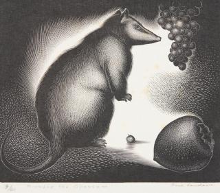 Paul Landacre - Richard the Opossum