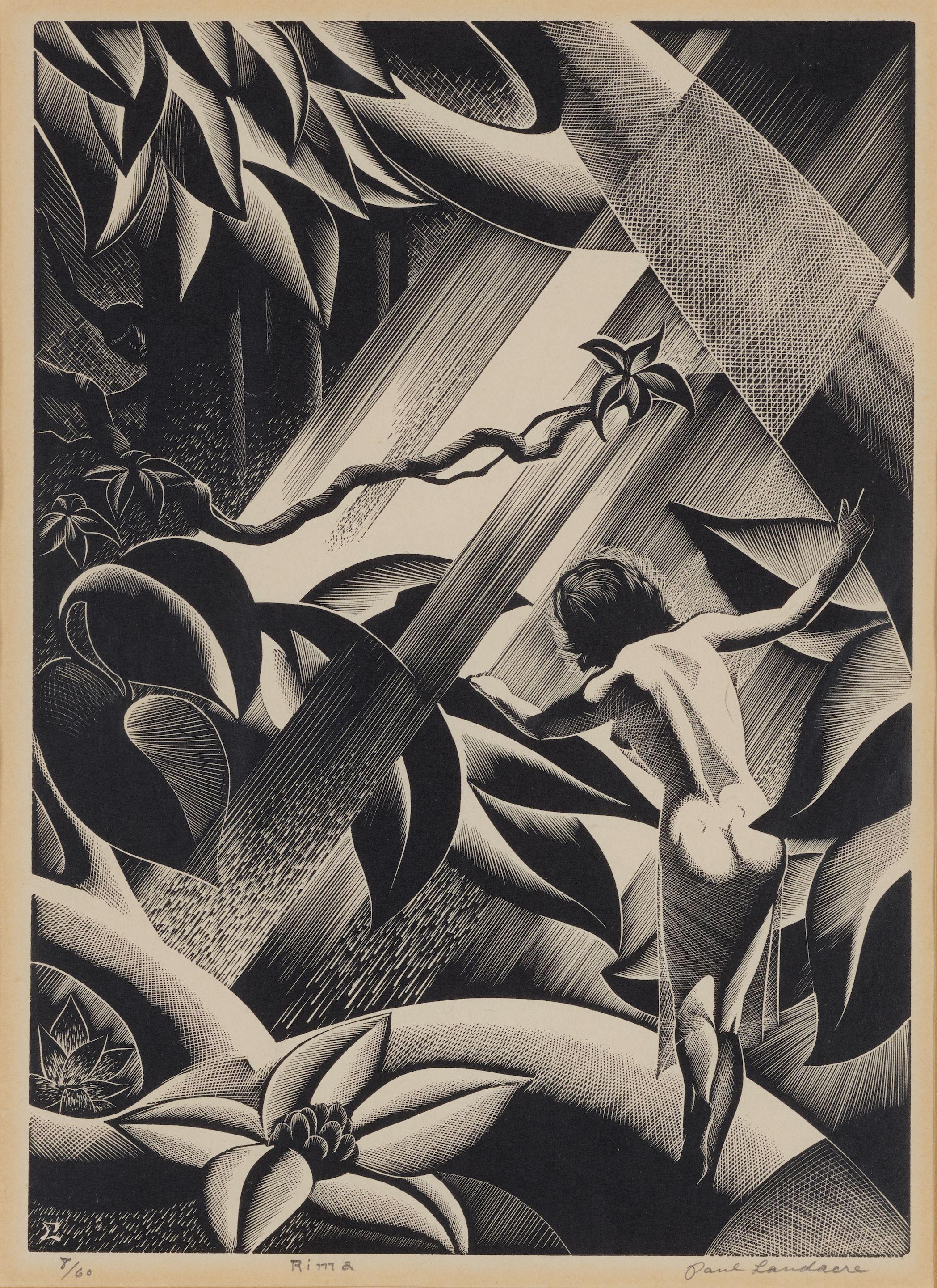 Paul Landacre - Rima