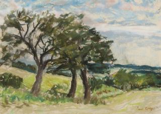 Paul-Lucien Maze - A wooded valley