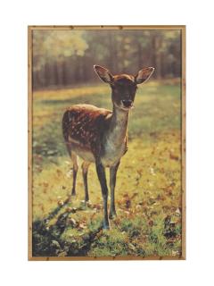 Paul Mccarthy - The Bavarian Deer