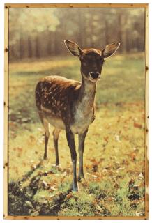 Paul Mccarthy - The Bavarian Deer