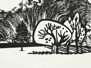 Paul Morrison - Black Dahlias