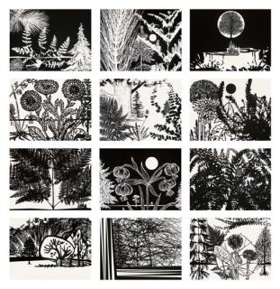 Paul Morrison - Black Dahlias