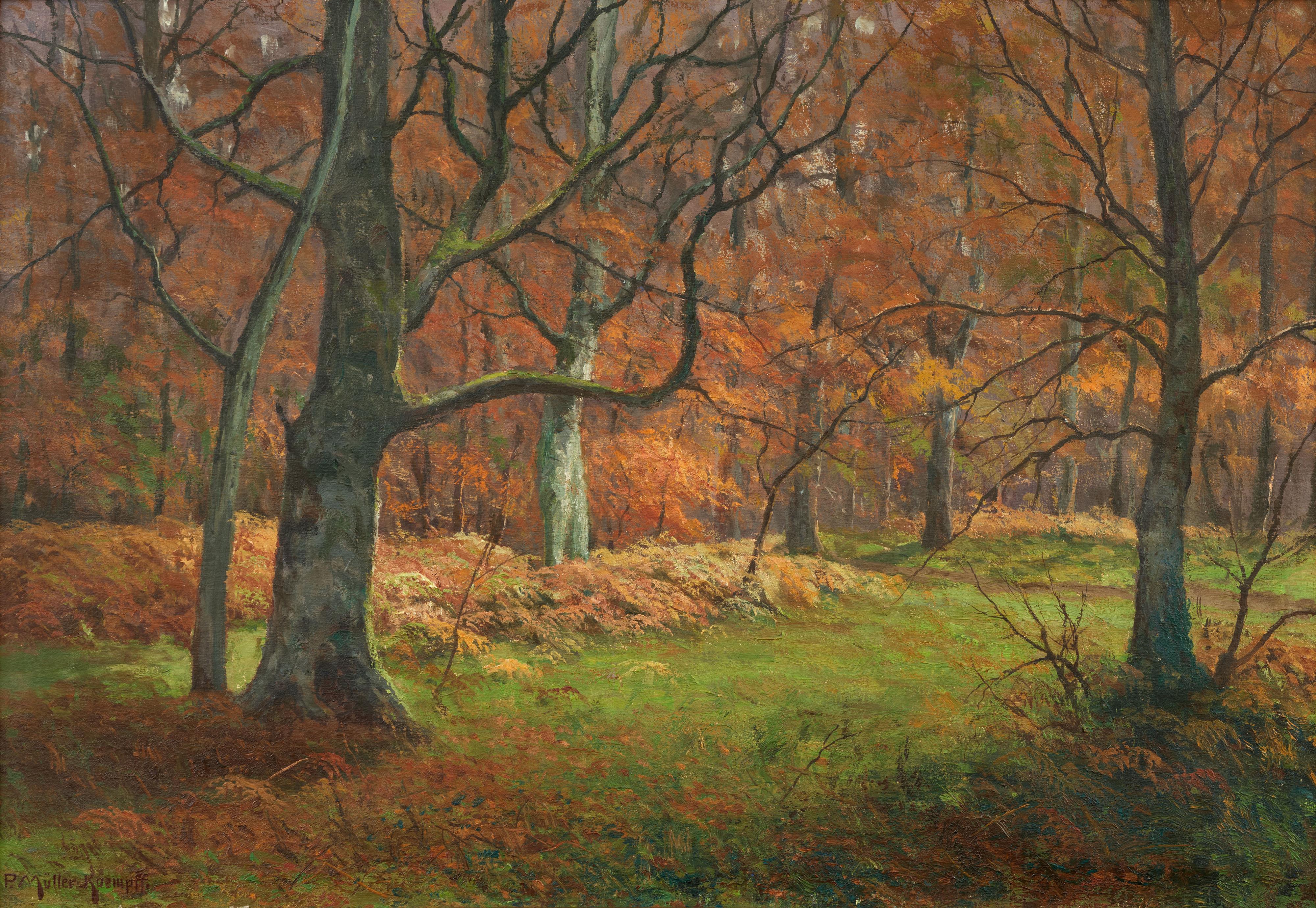 Paul Müller-Kaempff - Das Innere eines Waldes