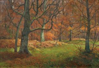 Paul Müller-Kaempff - Das Innere eines Waldes