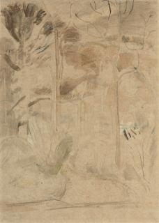 Paul Nash - Spring Wood