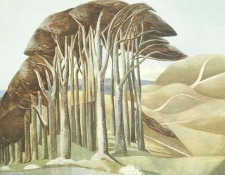 Paul Nash - Wood On The Downs
