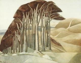 Paul Nash - Wood on the Downs