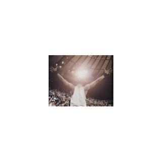 Paul Pfeiffer - The Four Horseman Of The Apocalypse #7