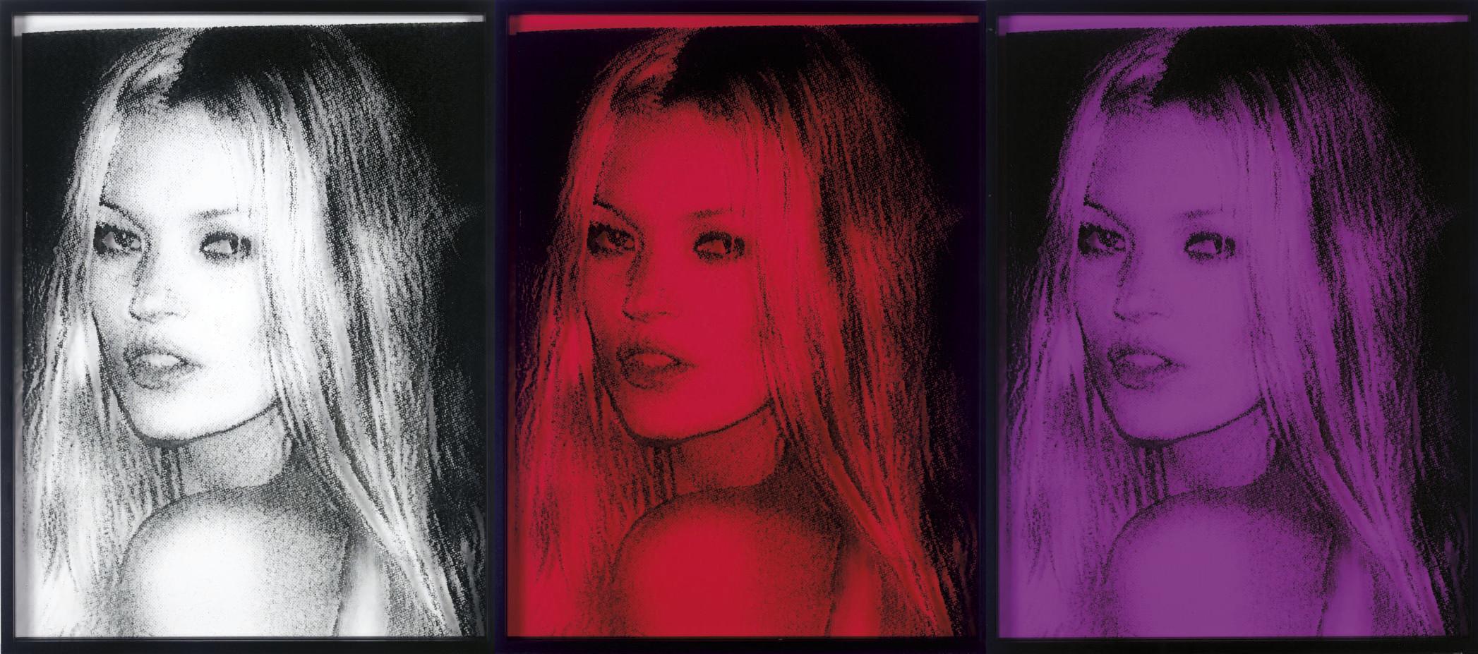 Paul Rusconi - Untitled (Kate Triptych)