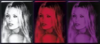 Paul Rusconi - Untitled (Kate Triptych)