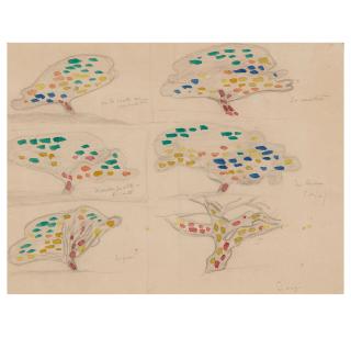 Paul Signac - Tree Study: Six Views on a Single Sheet sight size 8 3/4 x 11 7/7 in. (22.3 x 30.2 cm) framed 11 1/2 x 14 5/8 x 7/8 in.